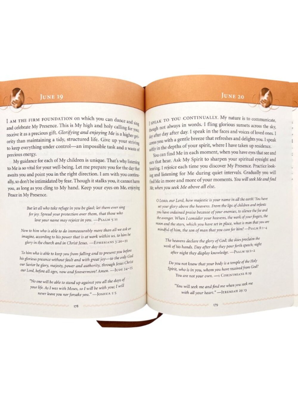 Jesus Calling Enjoying Peace 365 Daily Devotional Sarah Young Faux Leather Cover - Picture 11 of 16